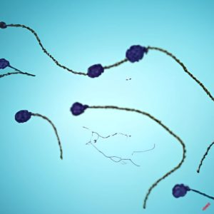 Artificial Intelligence Art by GetFreeSperm.com for the topic of Sperm